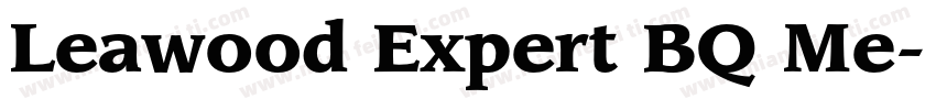 Leawood Expert BQ Me字体转换